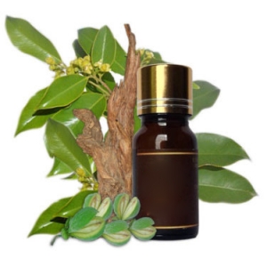 Frankincense essential oil 