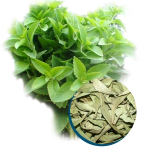 Dried stevia rebaudiana from vietnam