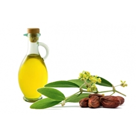 Jojoba oil 