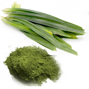 Pandan leaf flavour powder for food high quality