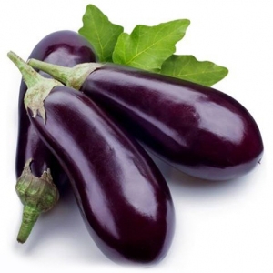 Solanum melongena from viet nam