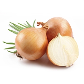 Onion from viet nam with best price and high quality