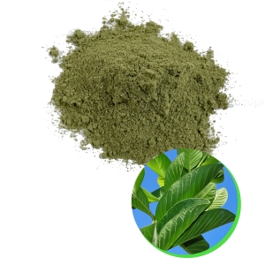 Guava leaf powder