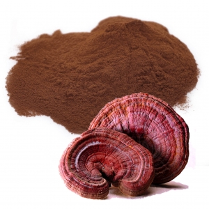 Red reishi mushroom powder