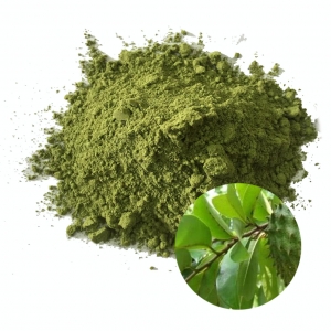 Bột lá mãng cầu xiêm
