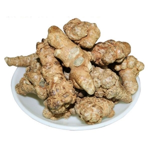 Dried panax pseudoginseng products export standard