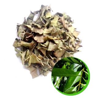 Lá vối khô