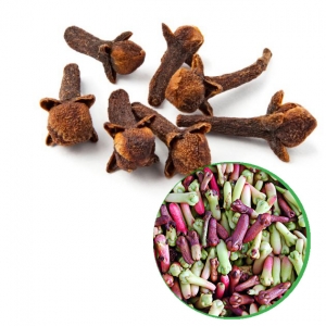Dried cloves 