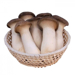 Nấm đùi gà miền tây