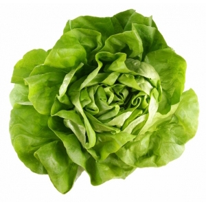 Lettuce