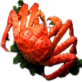 Live king crab alaska