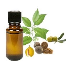 Nutmeg oil 