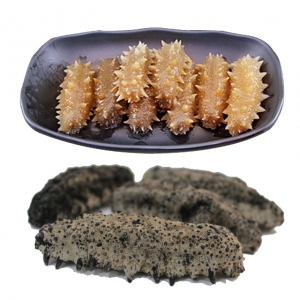 Dried sea cucumber 