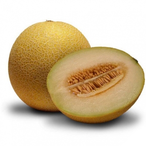 Fresh cantaloupe from vietnam