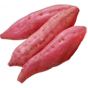 Khoai lang nhật ruột vàng