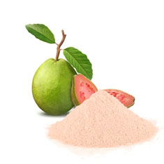 Bột ổi