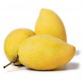 Fresh cat chu mangoes from vietnam