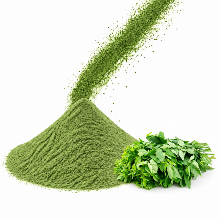 Sweet leaf bush powder