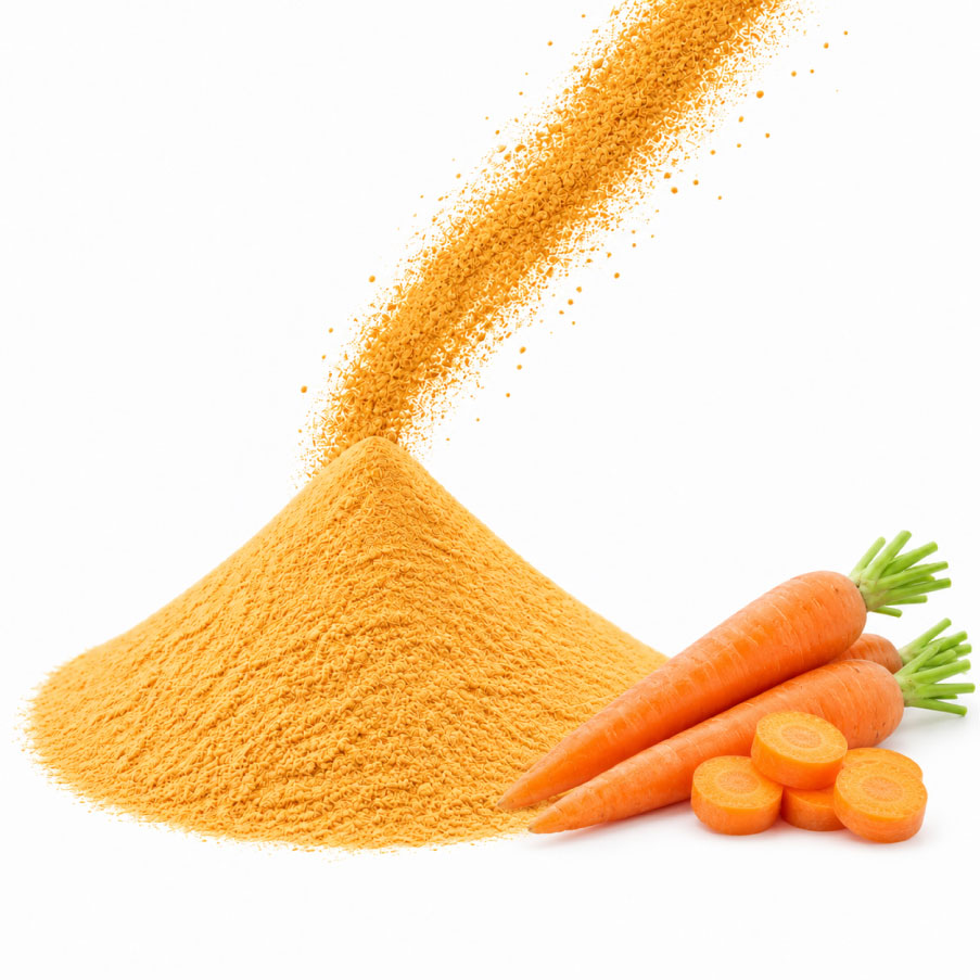 Carrot powder high qiality