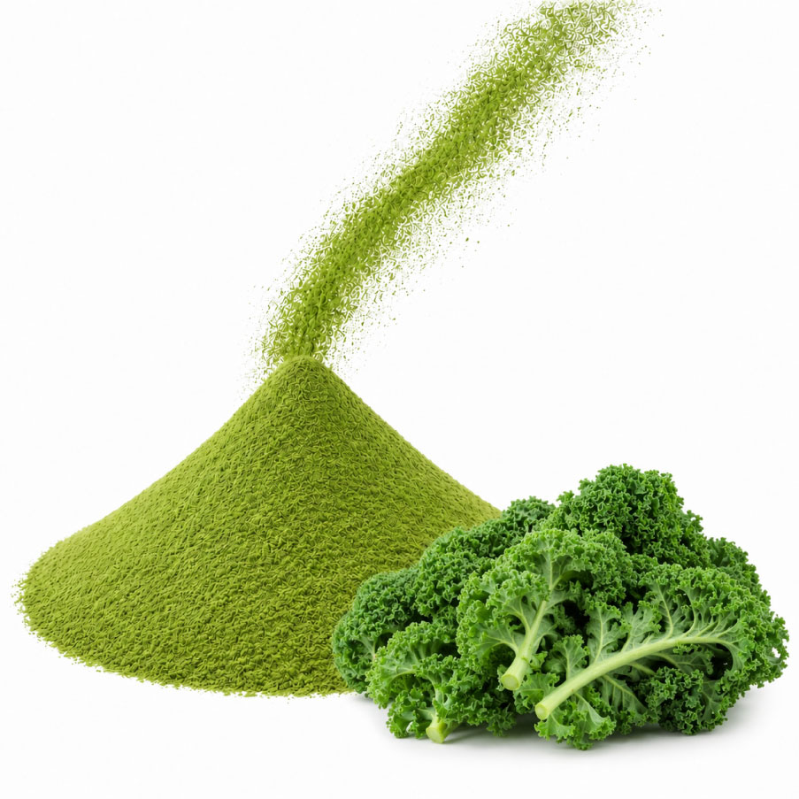 Kale powder 