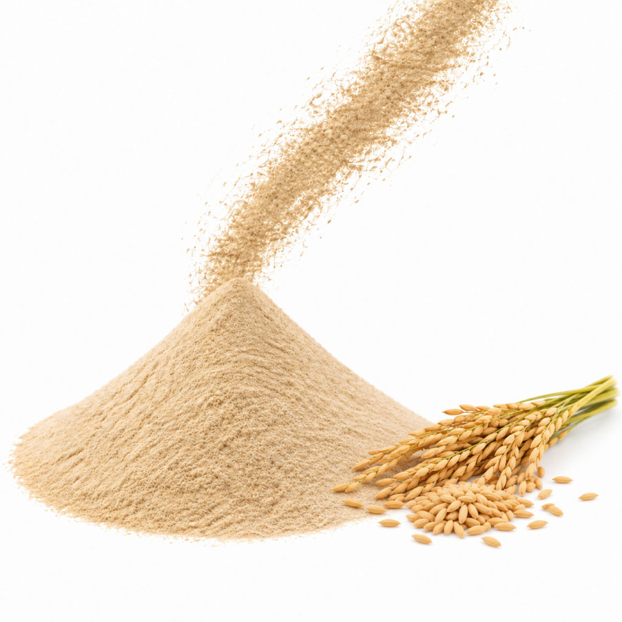 Rice bran powder