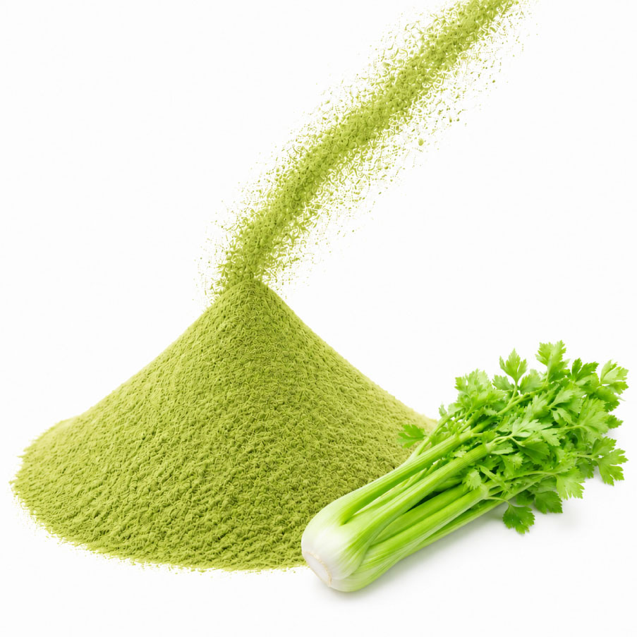 Celery powder