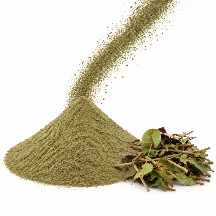 Bột chè vằng