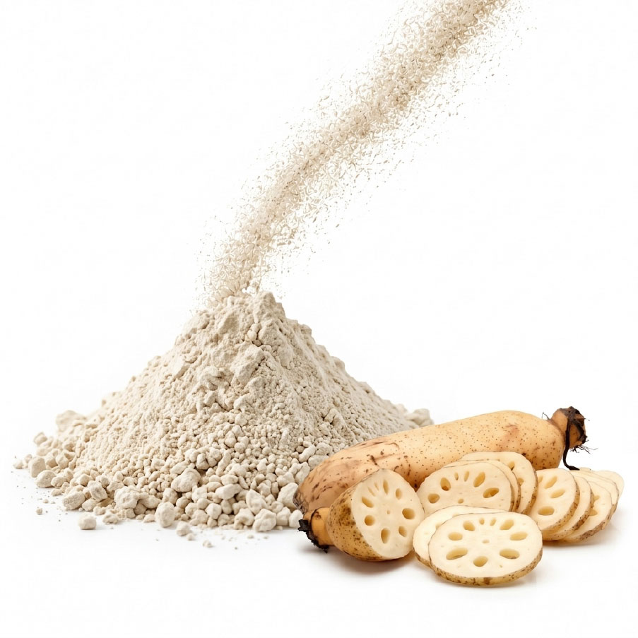 Bột củ sen