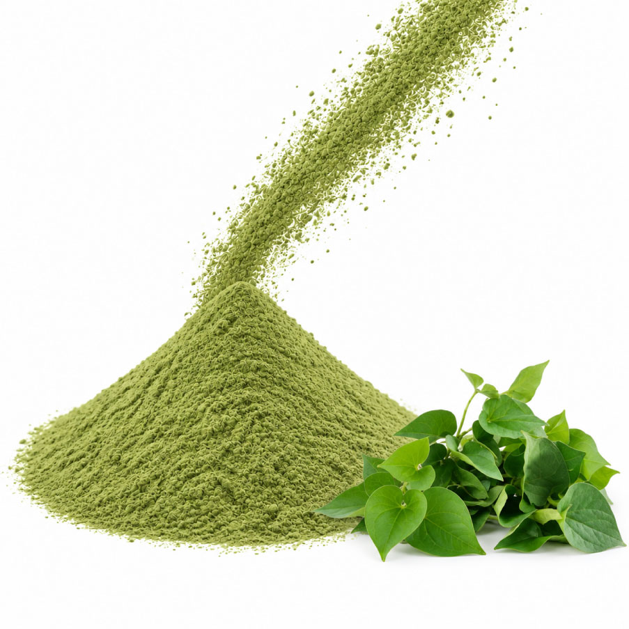 Fish mint leaf powder