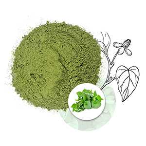 Fish mint leaf powder