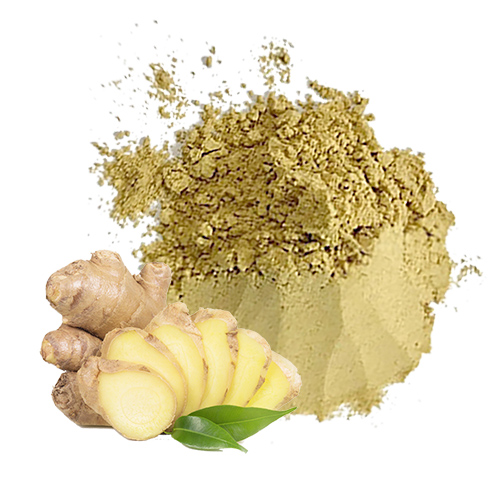 Ginger powder for food  