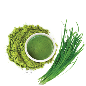 Chives powder 