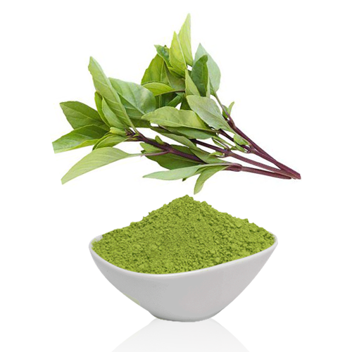 Basil powder