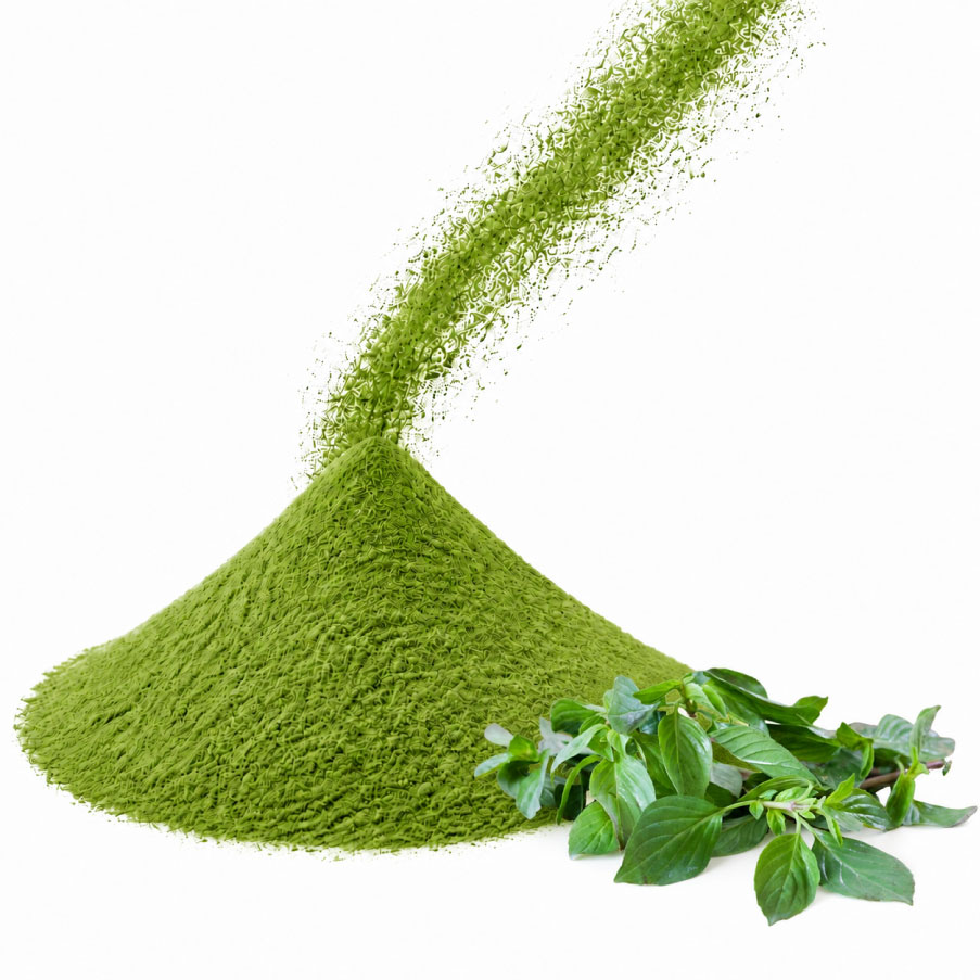 Basil powder
