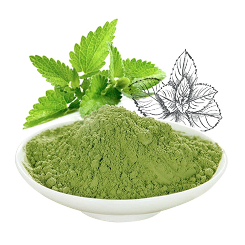 Mint leaves powder 