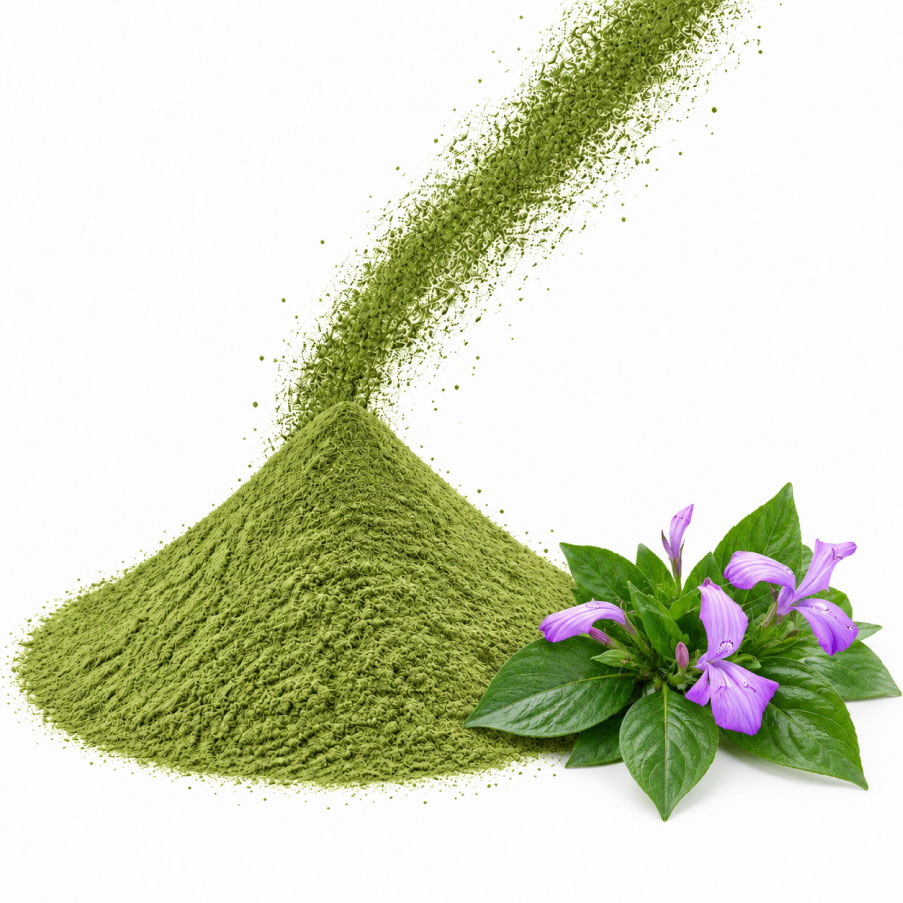 Bột lá cẩm tím