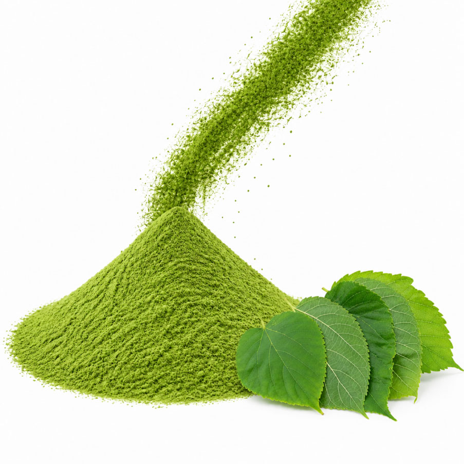 Bột lá dâu tằm