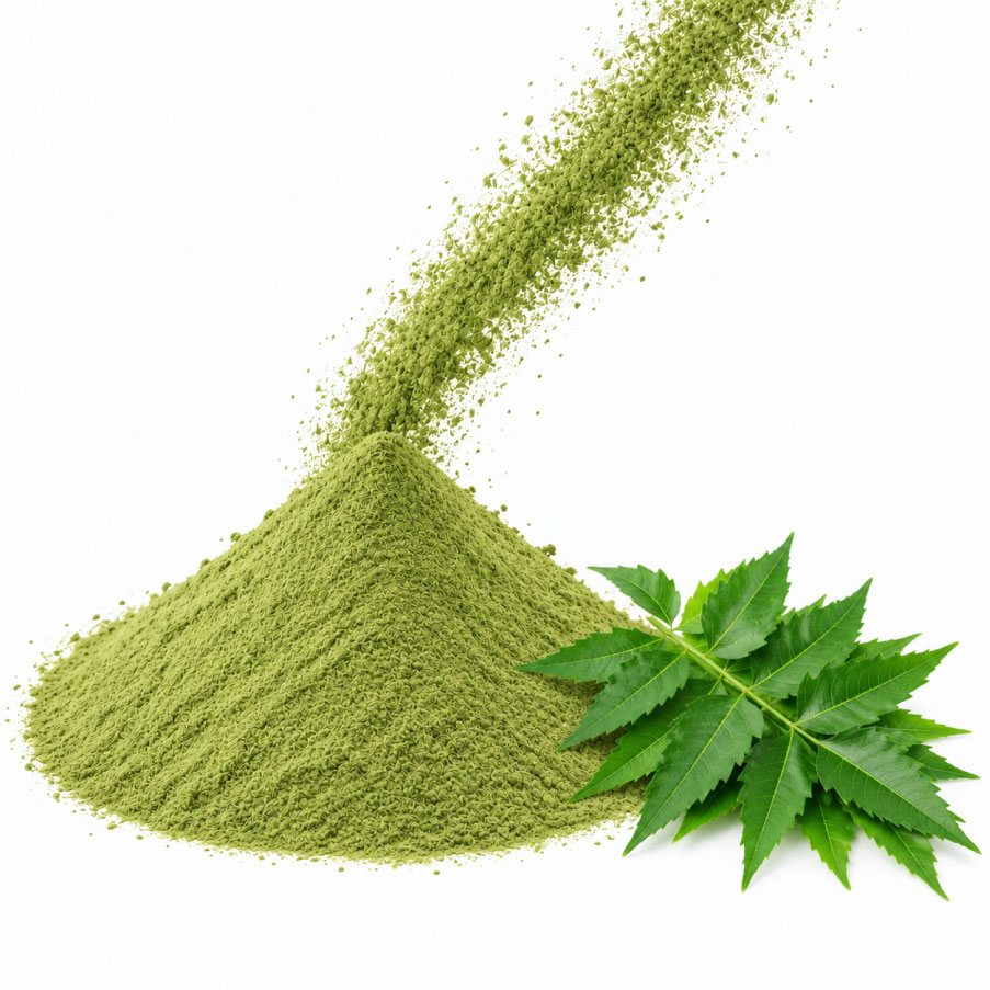 Melia azedarach powder
