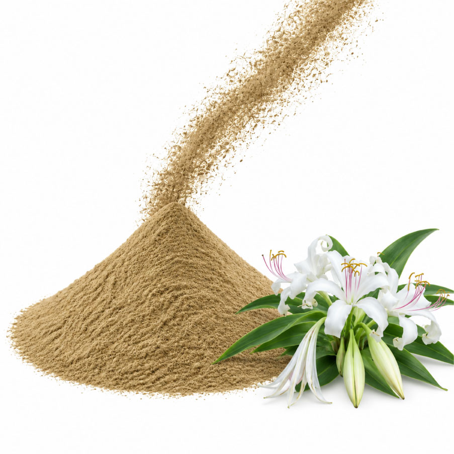 Bột lá trinh nữ hoàng cung