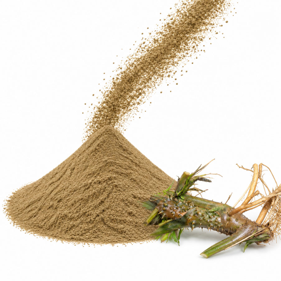Momordica charantia  powder