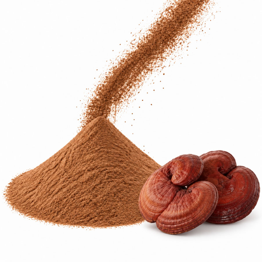 Bột nấm linh chi đỏ 