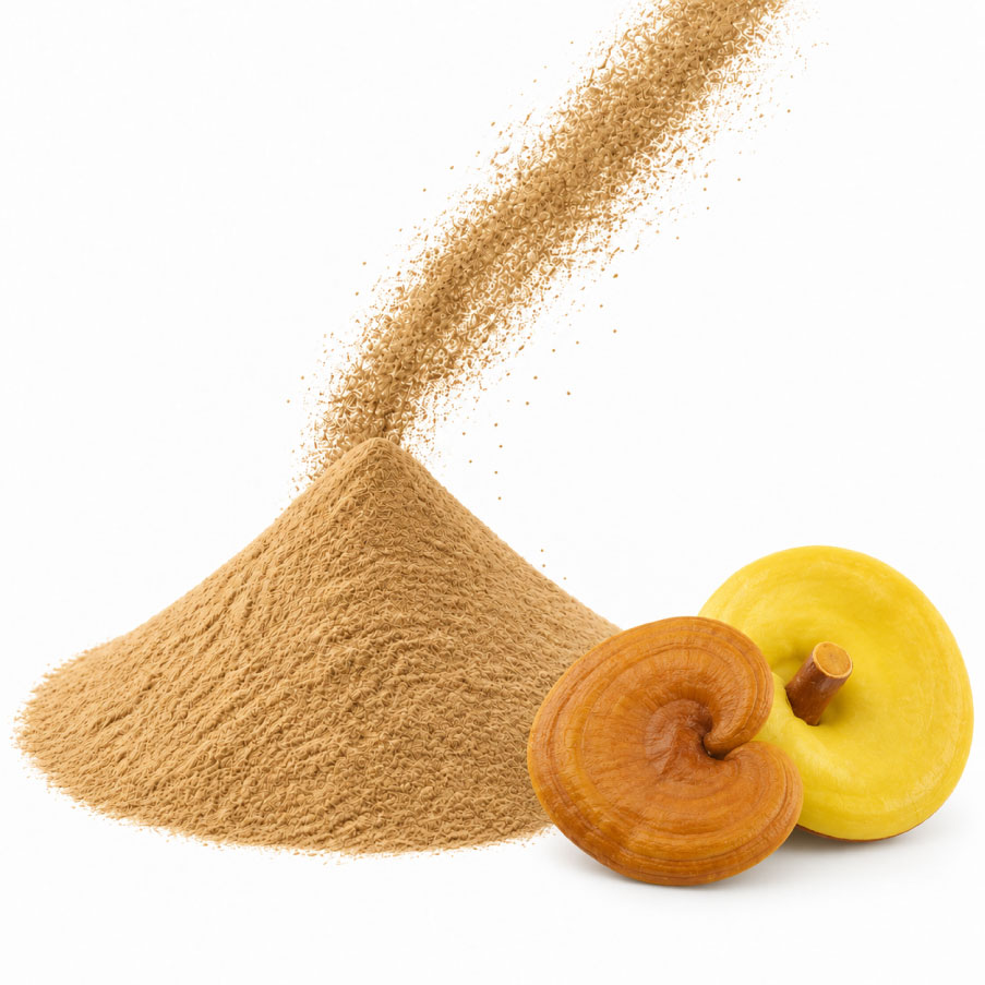 Bột nấm linh chi vàng