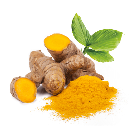 Turmeric powder