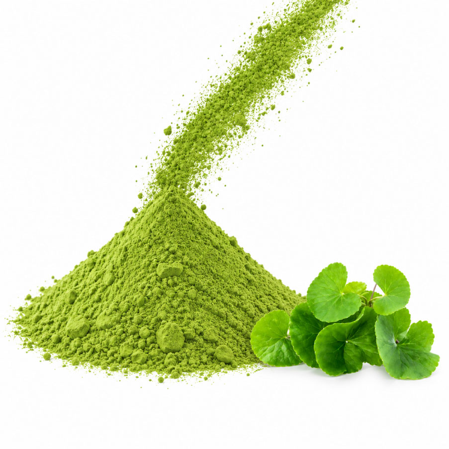 Centella asiatica powder 