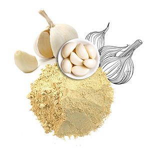 Garlic powder for spice 