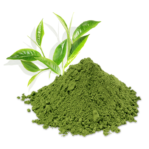 Green tea powder 