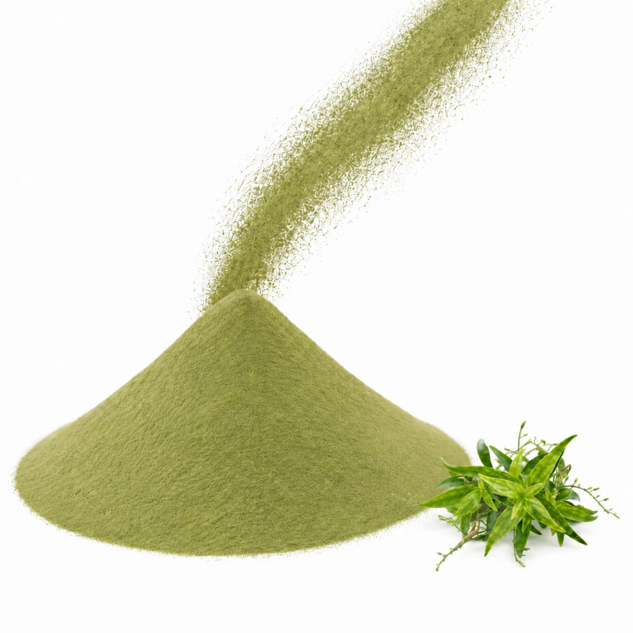Andrographis paniculata powder