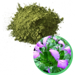 Magen leaf powder from vietnam