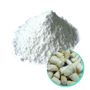 Bột củ bình tinh