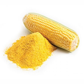 Corn powder 
